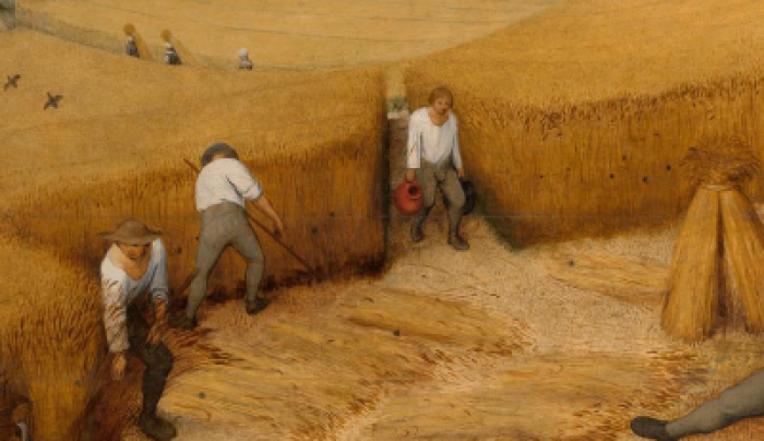 De oogst (detail)